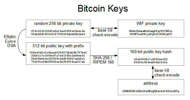 Bitcoin master public key